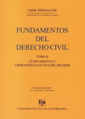 FUNDAMENTOS DEL DERECHO CIVIL TOMO 2
