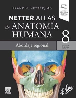 Netter Atlas de anatomía humana. Abordaje regional 8Ed.