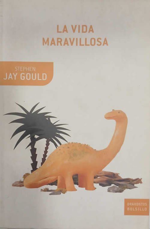 9788484328049 La vida maravillosa