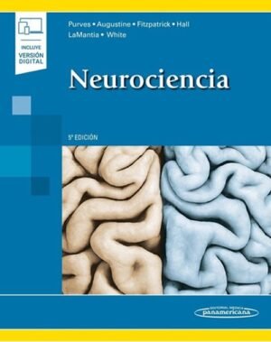 Neurociencia 5° Ed.