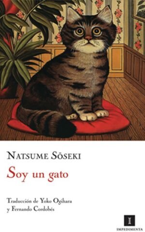 Soy un gato