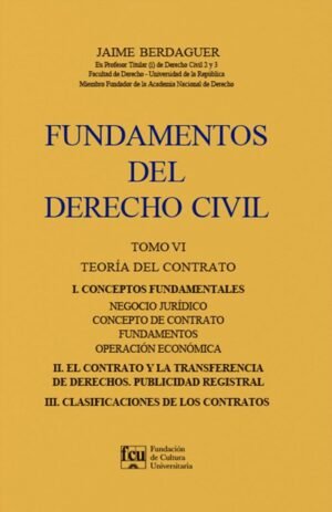 FUNDAMENTOS DEL DERECHO CIVIL TOMO 6
